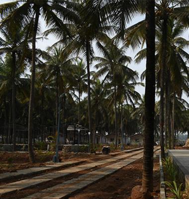 Thumbe Goodu Resort Yadiyur Exterior foto